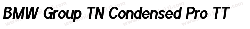 BMW Group TN Condensed Pro TT Bold字体转换